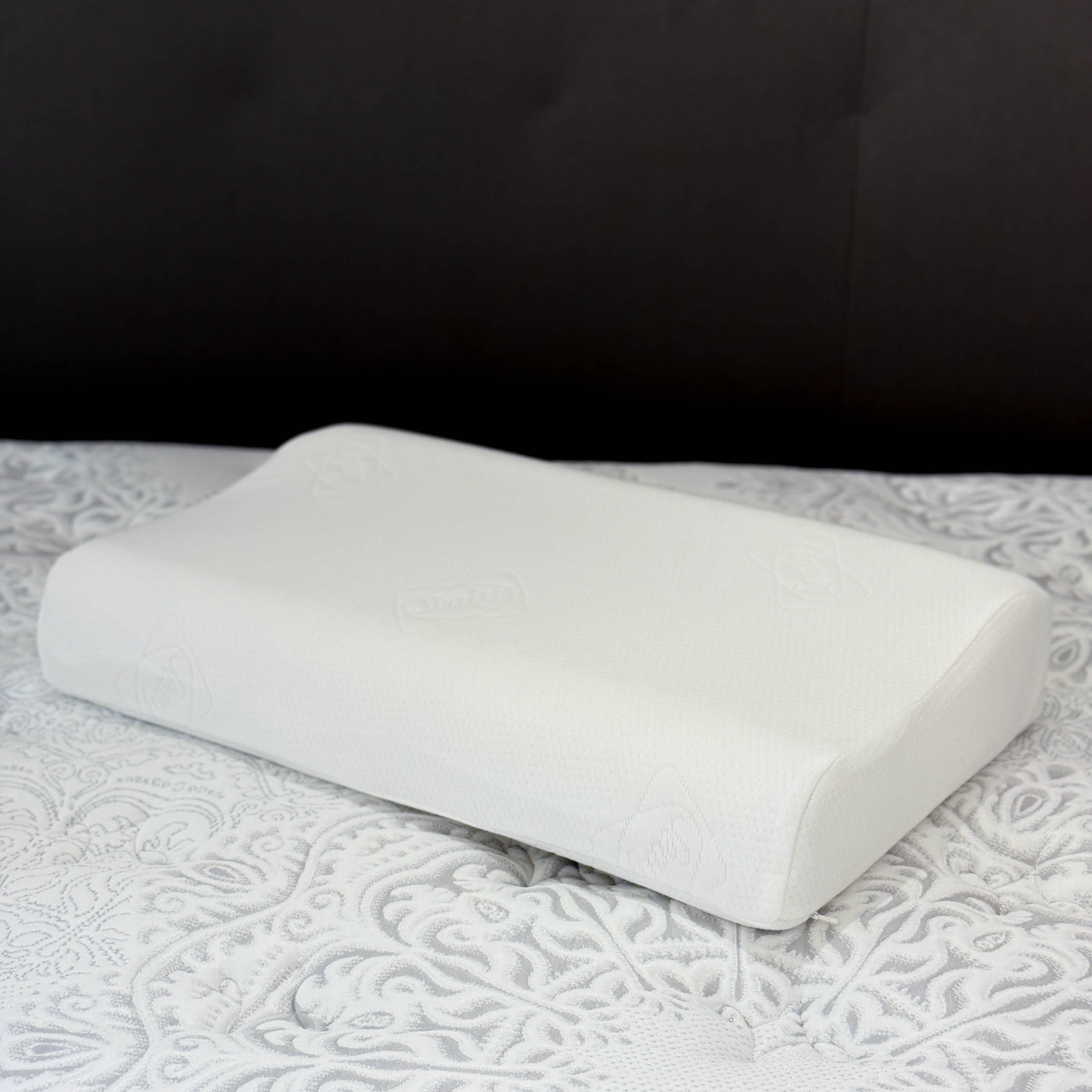 Sealy Contour Shape Latex Pillow