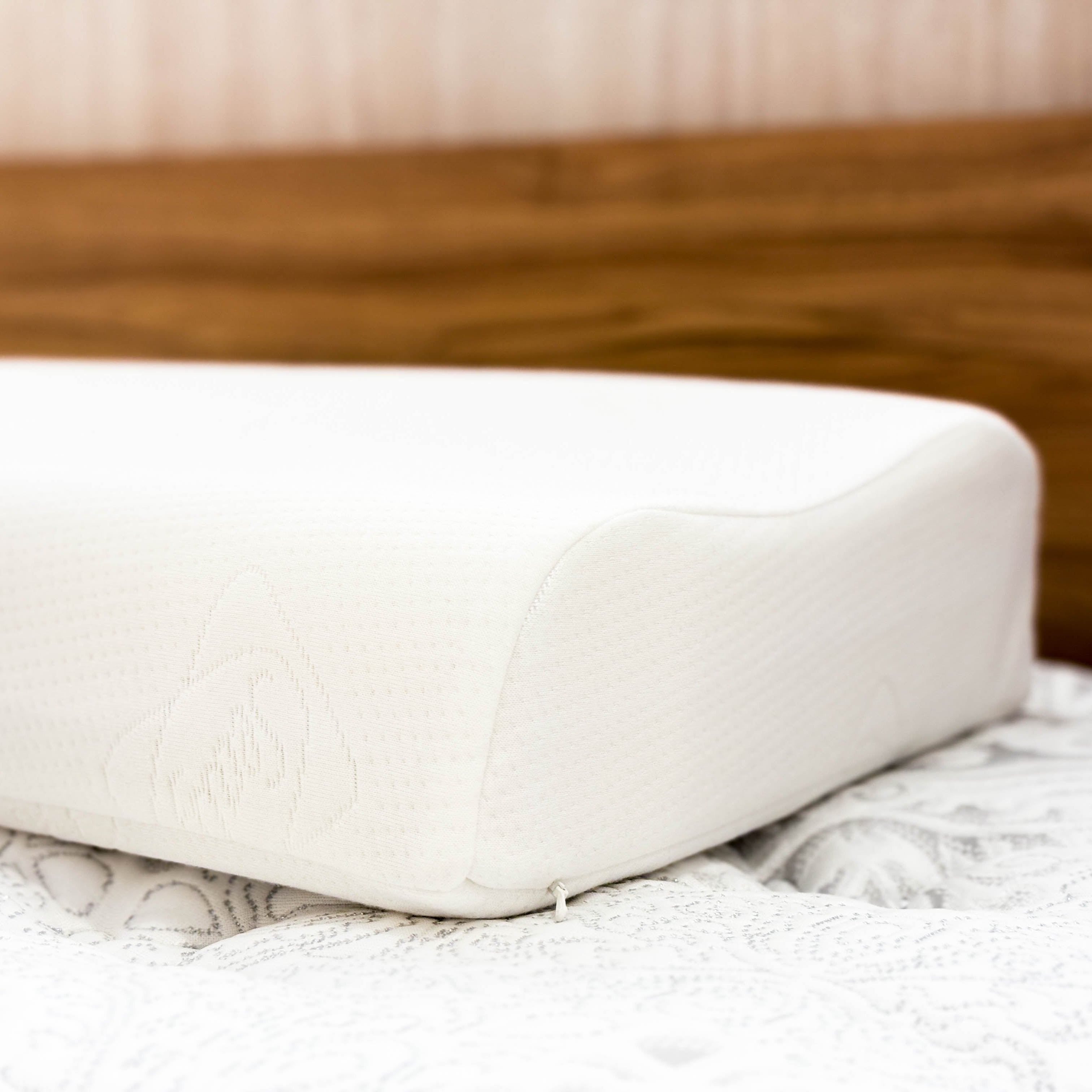 Sealy Contour Shape Latex Pillow