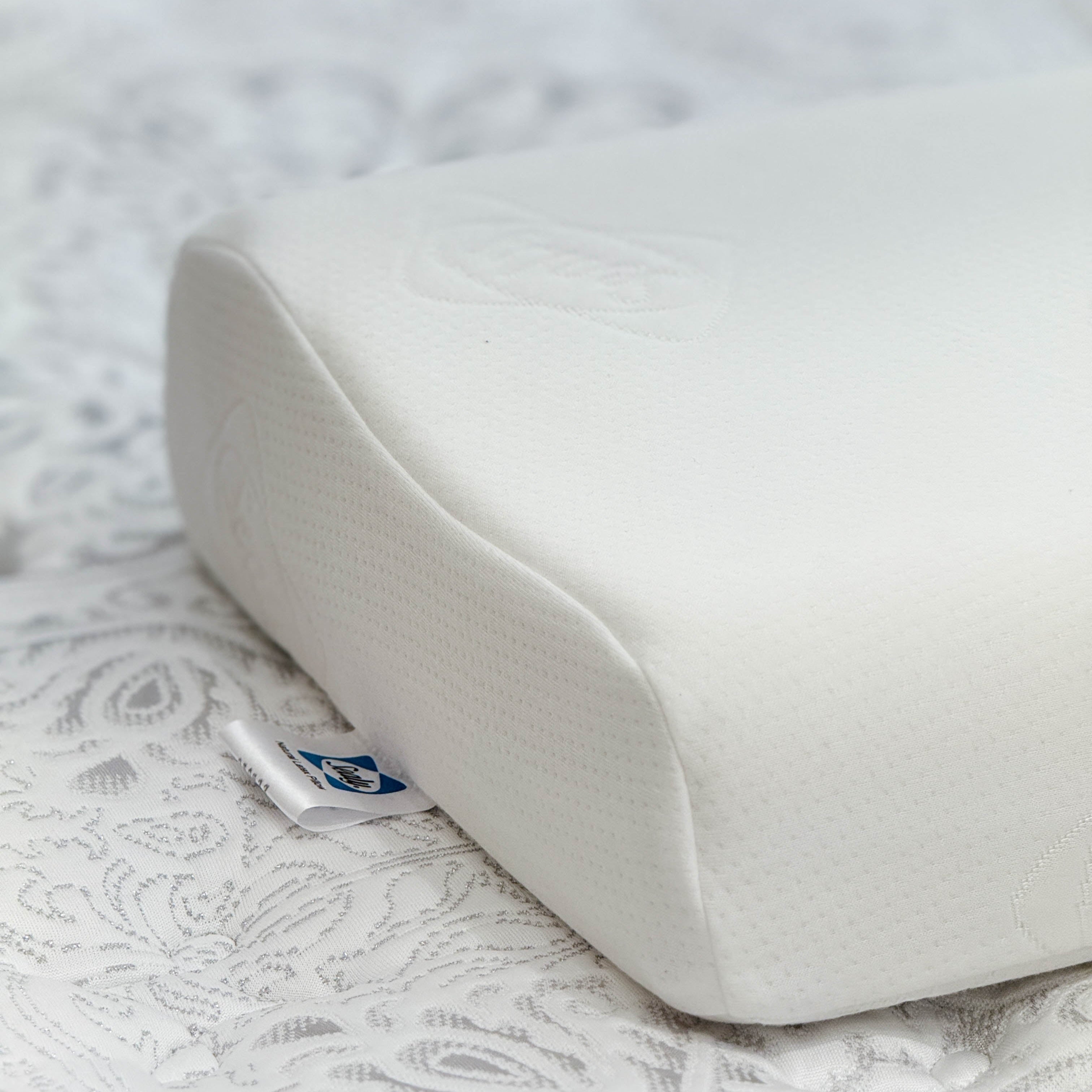 Sealy Contour Shape Latex Pillow