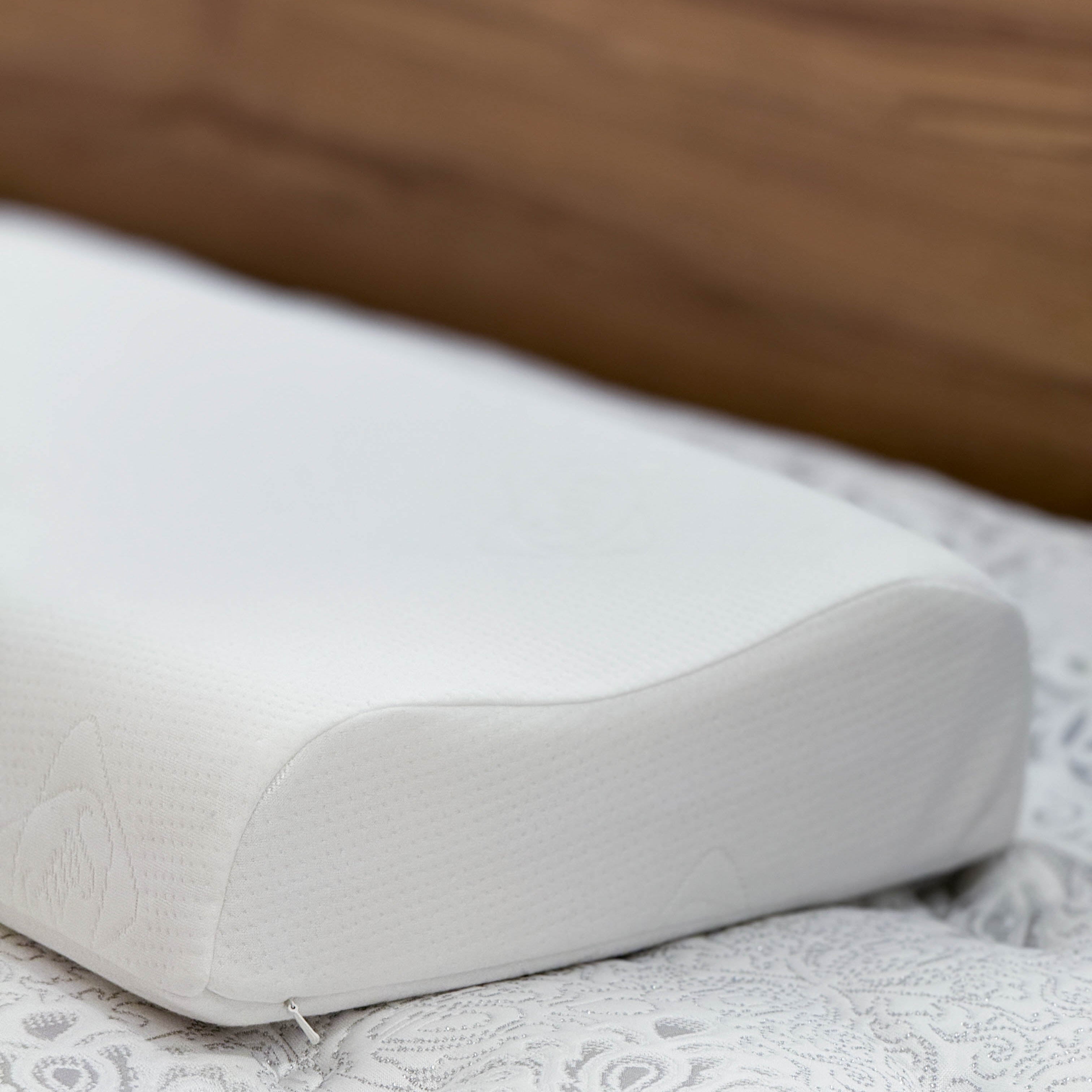 Sealy Contour Shape Latex Pillow