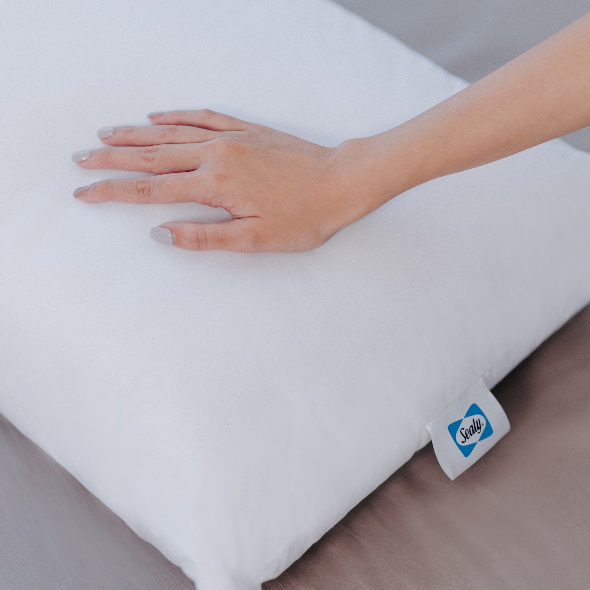 Sealy Hybrid Memory Foam Pillow