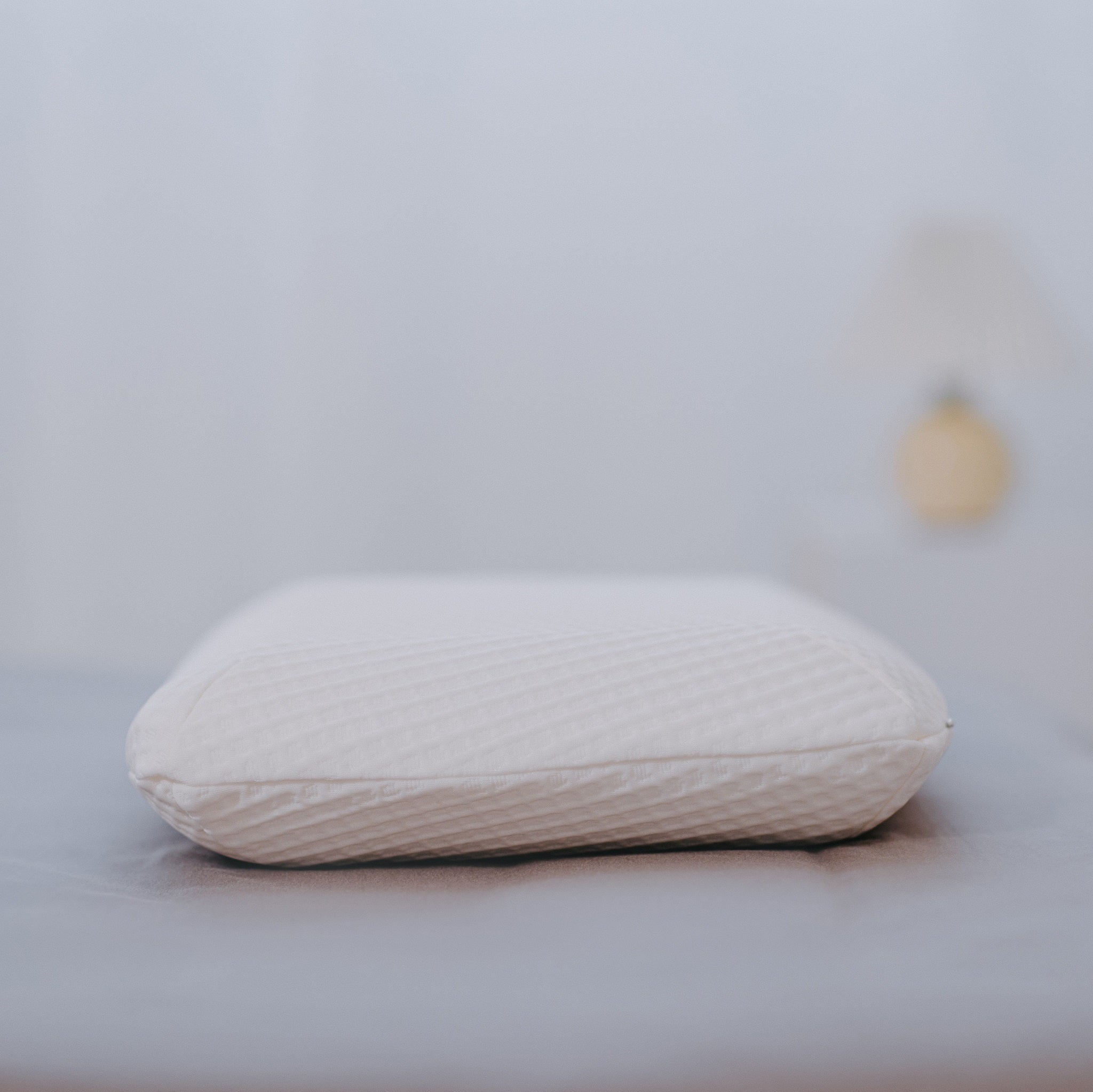 Sealy memory on sale rest traditional pillow