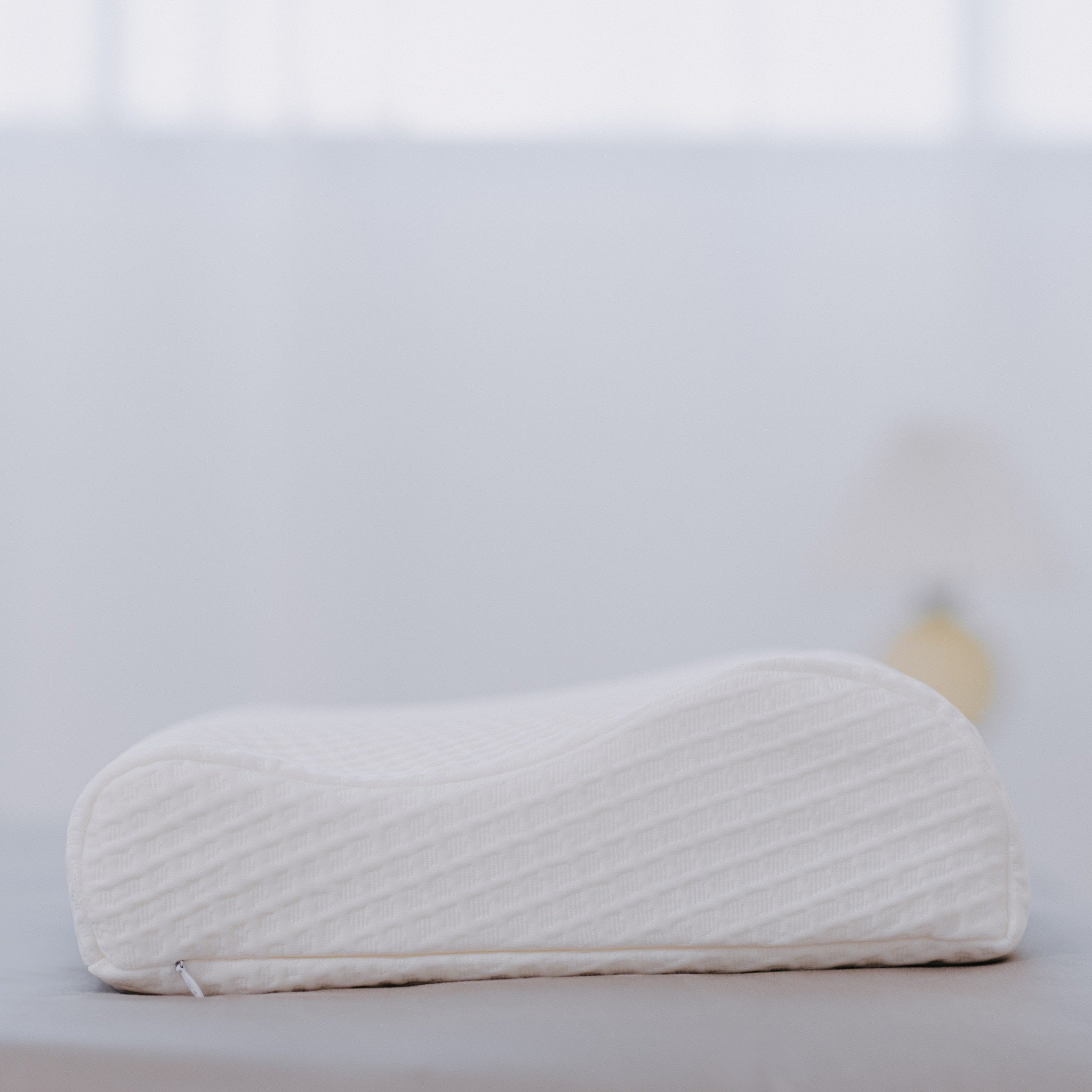 Sealy Contour Memory Foam Pillow